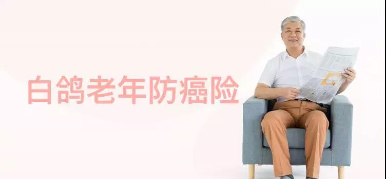 白鸽老年防癌险保额100万,80岁、常见三高也能投保