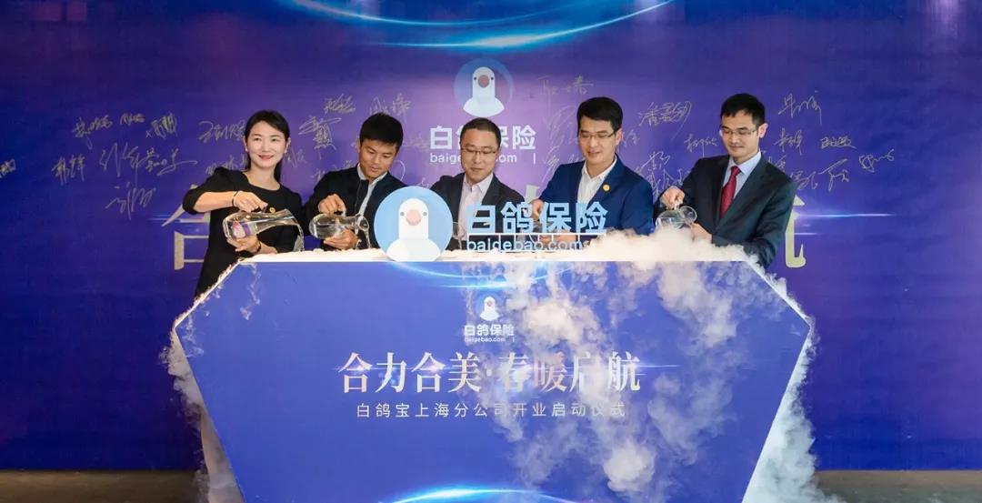 合力合美·春暖启航|白鸽保险上海新春答谢会圆满落幕