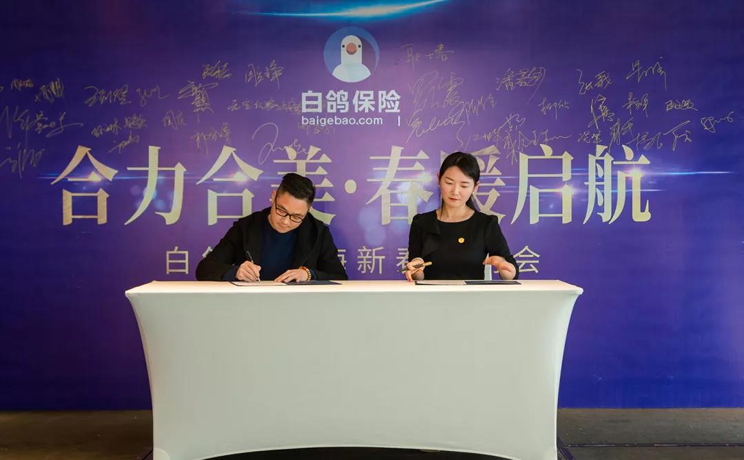 合力合美·春暖启航|白鸽保险上海新春答谢会圆满落幕