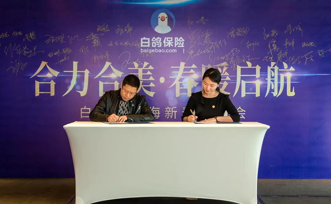 合力合美·春暖启航|白鸽保险上海新春答谢会圆满落幕