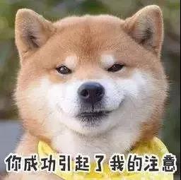 《XQ之旅》厦门站第一集——白鸽助阵,一往无前