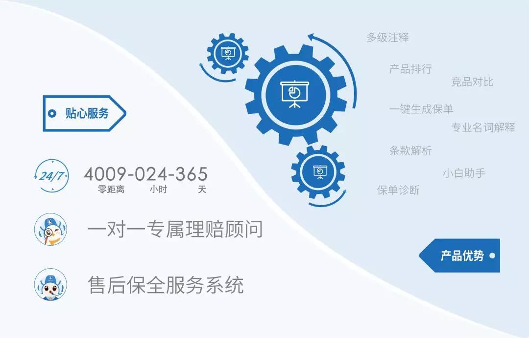 白鸽保险2019年第一季度完美收官,势头强劲成果喜人!