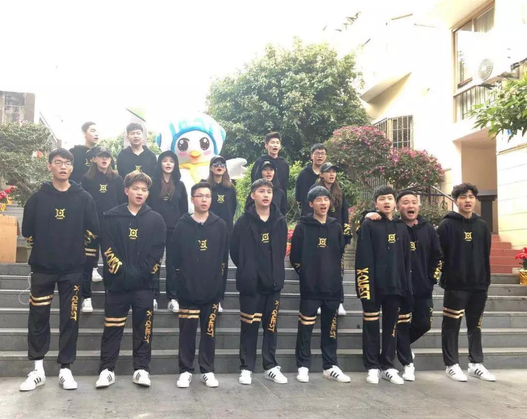 白鸽保险2019年第一季度完美收官,势头强劲成果喜人!