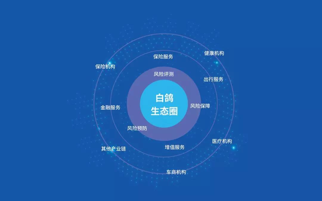 白鸽保险2019年第一季度完美收官,势头强劲成果喜人!