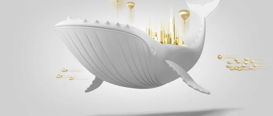 如何挑选个人账户资金损失险